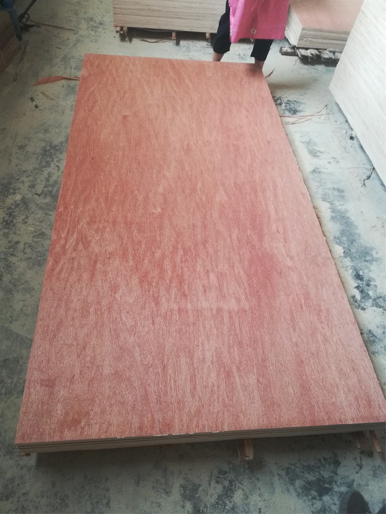 Bintangor faced plywood  Poplar, Combi core